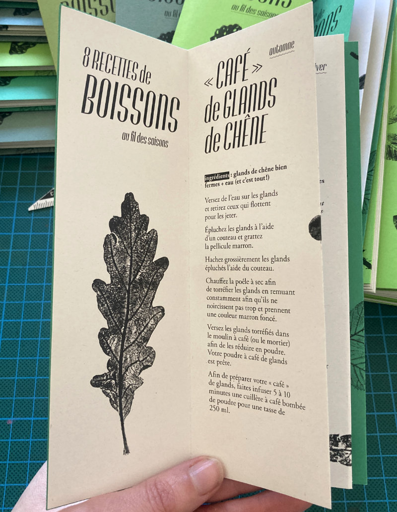 fanzine 8 recettes de boissons au fil des saisons