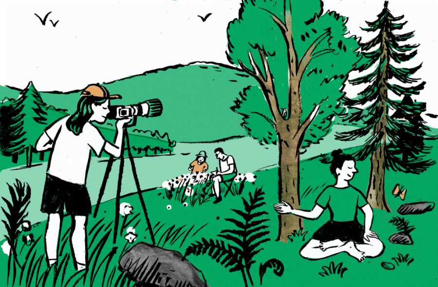 illustration d'activités de loisir au Ballon d'Alsace